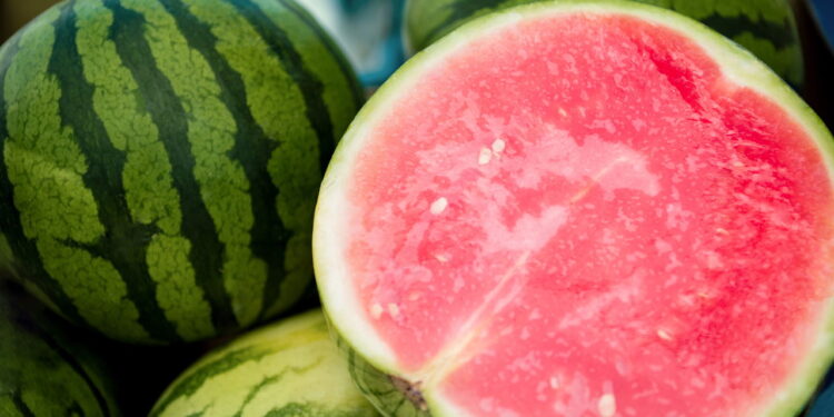 Plante melancia em casa com dicas estratégicas e maximize frutos frescos e saudáveis