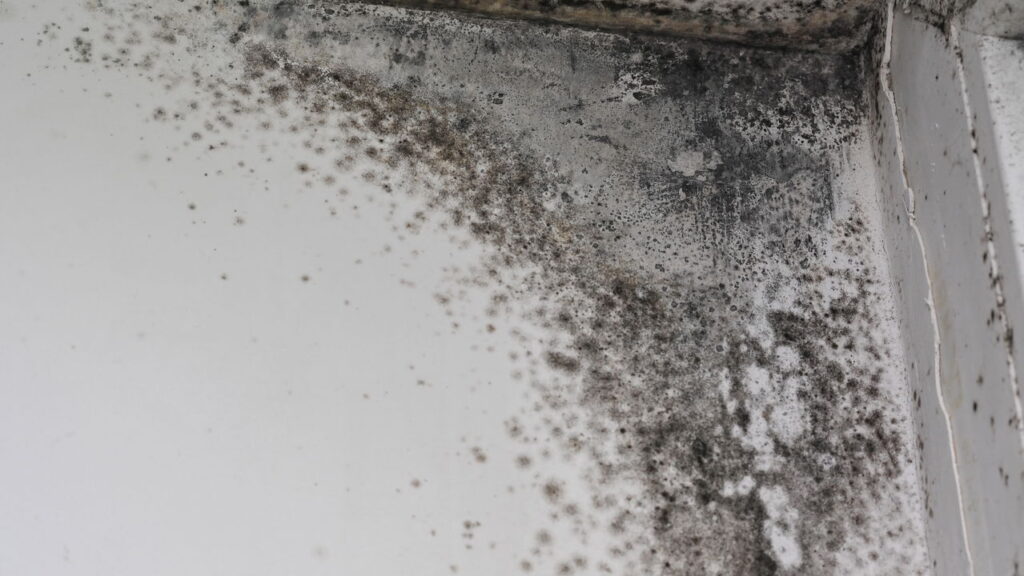 Alternativa doméstica com vinagre que purifica o ambiente e protege a saúde