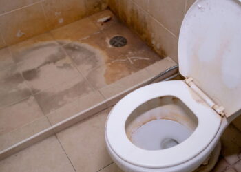 Esse pode ser o verdadeiro motivo pelo qual o mofo atrai insetos no banheiro!