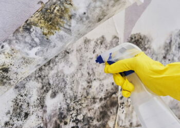 Armário sem mofo com o truque mais barato e eficaz do momento