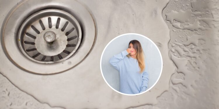 Nem desinfetante, nem álcool: o truque para eliminar o mau cheiro do ralo