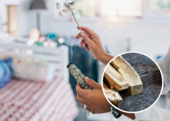 As 3 plantas mais poderosas para rituais de limpeza energética