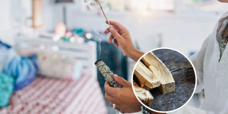 As 3 plantas mais poderosas para rituais de limpeza energética