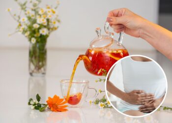 As 3 plantas que ajudam na digestão e podem ser usadas em chás