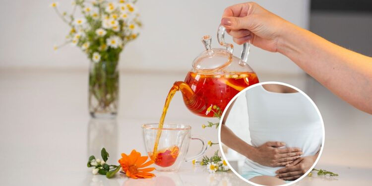 As 3 plantas que ajudam na digestão e podem ser usadas em chás