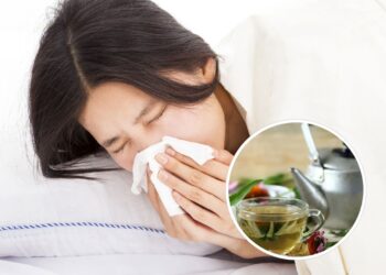 Essa planta é o reforço natural mais potente para sua imunidade