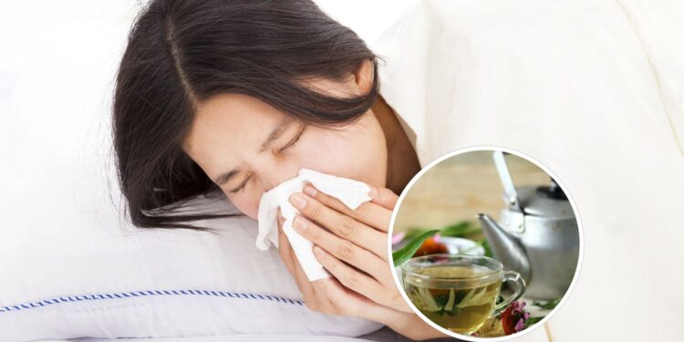 Essa planta é o reforço natural mais potente para sua imunidade