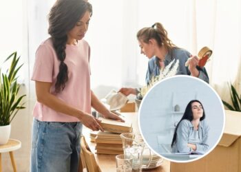 As melhores 4 plantas que decoram e purificam qualquer ambiente