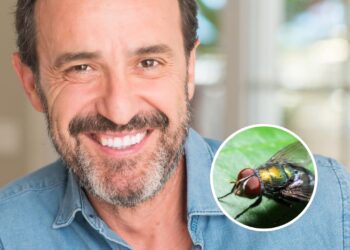 O que significa quando tem moscas rodeando uma pessoa segundo a psicologia