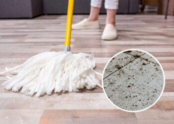 Nem cloro, nem removedor: esse produto barato dá brilho instantâneo ao piso