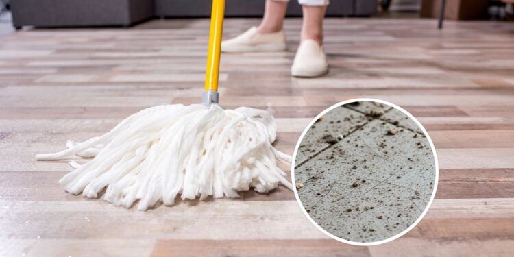 Nem cloro, nem removedor: esse produto barato dá brilho instantâneo ao piso