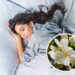 As 8 plantas que ajudam a melhorar seu sono