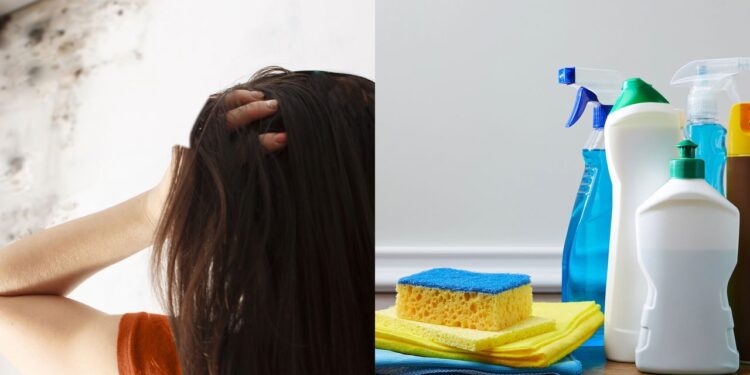 Nem vinagre, nem bicarbonato: o truque caseiro que tira o mofo das paredes de vez