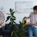 As 4 plantas que afastam as traças de sua casa de uma vez por todas!