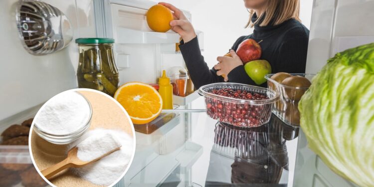 O truque caseiro que elimina o mau cheiro da geladeira em poucas horas sem gastar muito