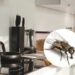 Como evitar que essa a mosca se prolifere na sua cozinha