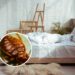 Como se livrar dos percevejos-de-cama eficientemente e sem produtos químicos