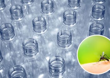 Controle sustentável de moscas e mosquitos com materiais recicláveis