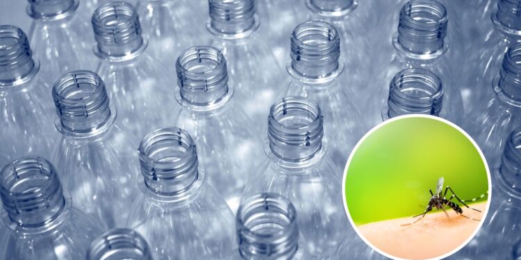 Controle sustentável de moscas e mosquitos com materiais recicláveis