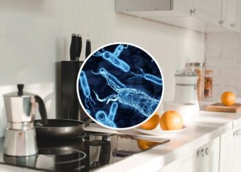 O que você toca todo dia na cozinha pode estar cheio de bactérias