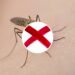 Planta poderosa contra mosquitos transmissores de doenças