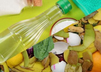 Aceleração do processo de compostagem com maior valor nutritivo para o solo