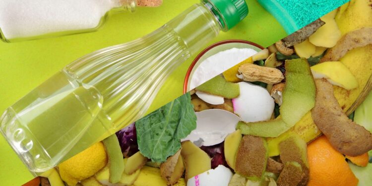 Aceleração do processo de compostagem com maior valor nutritivo para o solo