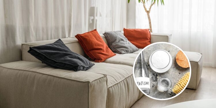 O melhor jeito de usar vinagre para limpar sua sala sem esforço