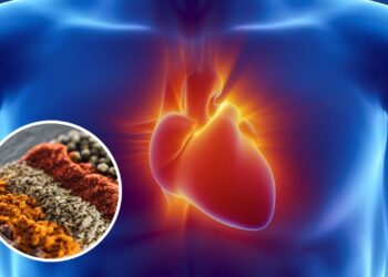 Como um ingrediente natural pode transformar sua saúde cardiovascular