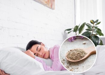 Essa planta é o calmante natural para noites tranquilas