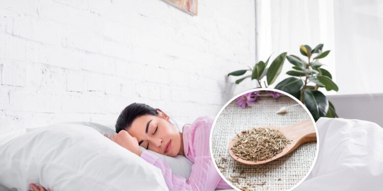 Essa planta é o calmante natural para noites tranquilas