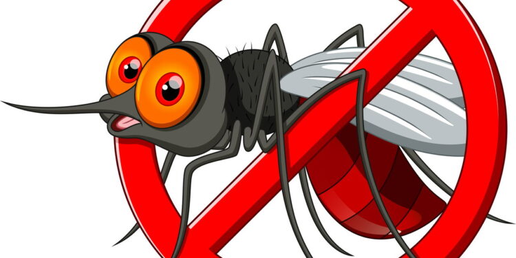 Posicionar plantas repelentes perto das janelas faz toda a diferença