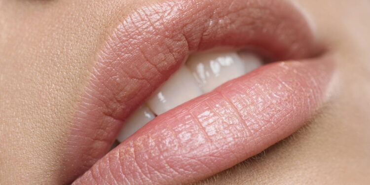 Essa planta pode ajudar quem sofre com boca seca e glaucoma