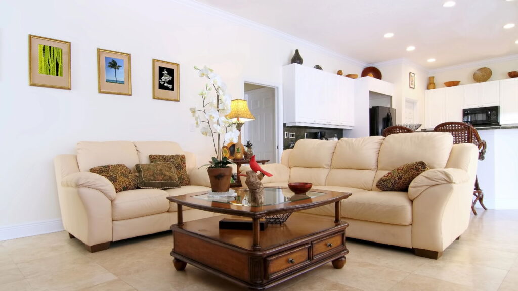 Por isso a umidade pode transforma seus móveis em alvo fácil de pragas!