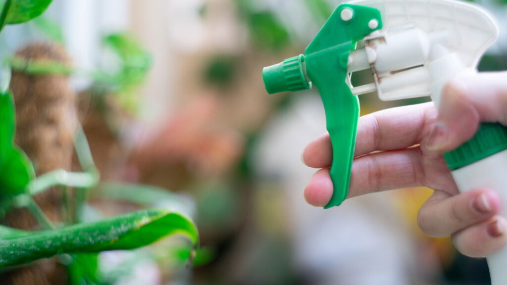 Mantenha suas hortaliças saudáveis com soluções naturais