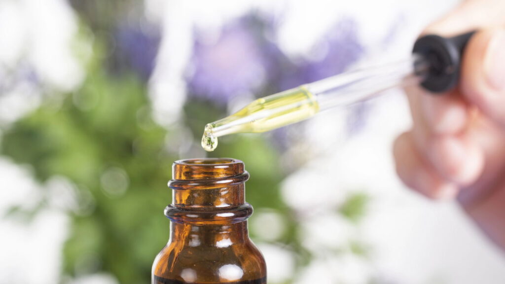 Combinação de lavanda e hortelã-pimenta cria uma barreira aromática contra mosquitos e moscas

