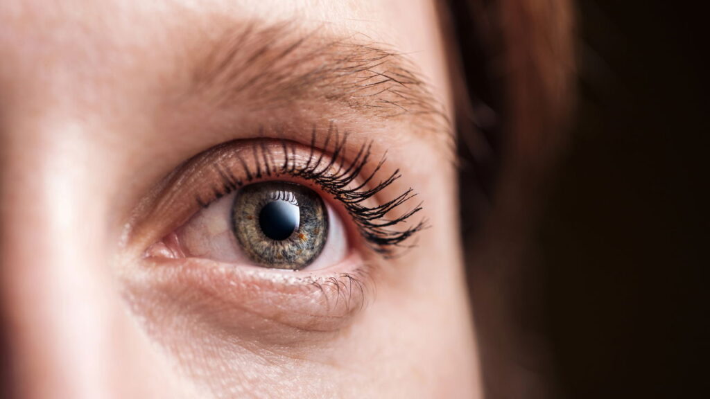 Essa planta pode ajudar quem sofre com boca seca e glaucoma