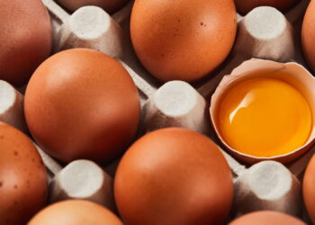 Como identificar um ovo estragado sem precisar quebrar