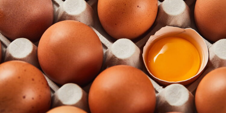 Como identificar um ovo estragado sem precisar quebrar