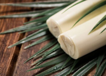 Cultive facilmente esse legume versátil em seu jardim com eesas dicas infalíveis!