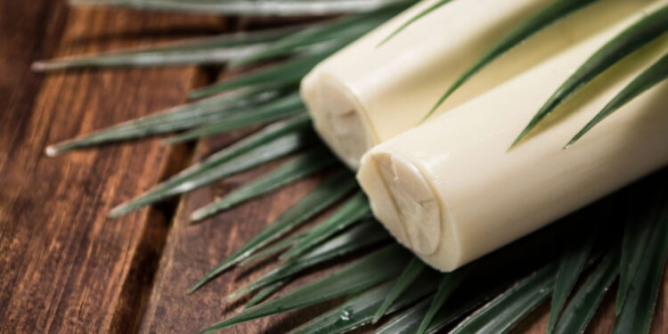 Cultive facilmente esse legume versátil em seu jardim com eesas dicas infalíveis!