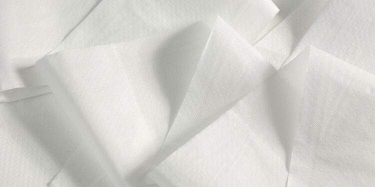 O truque com papel higiênico que espanta pragas de vez