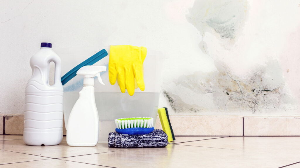 Nem vinagre, nem bicarbonato: o truque caseiro que tira o mofo das paredes de vez