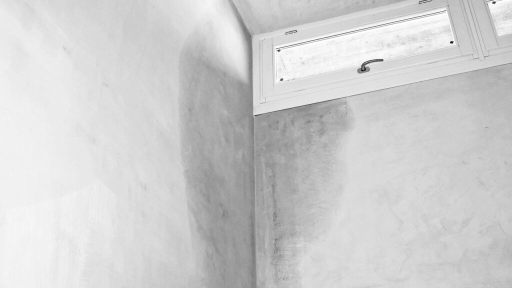 Diga adeus as lacraias: como se manter livre dessas pragas