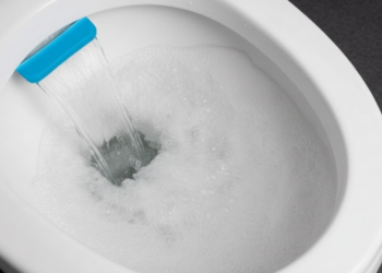 Pastilha sanitária caseira é a melhor forma de economizar no banheiro