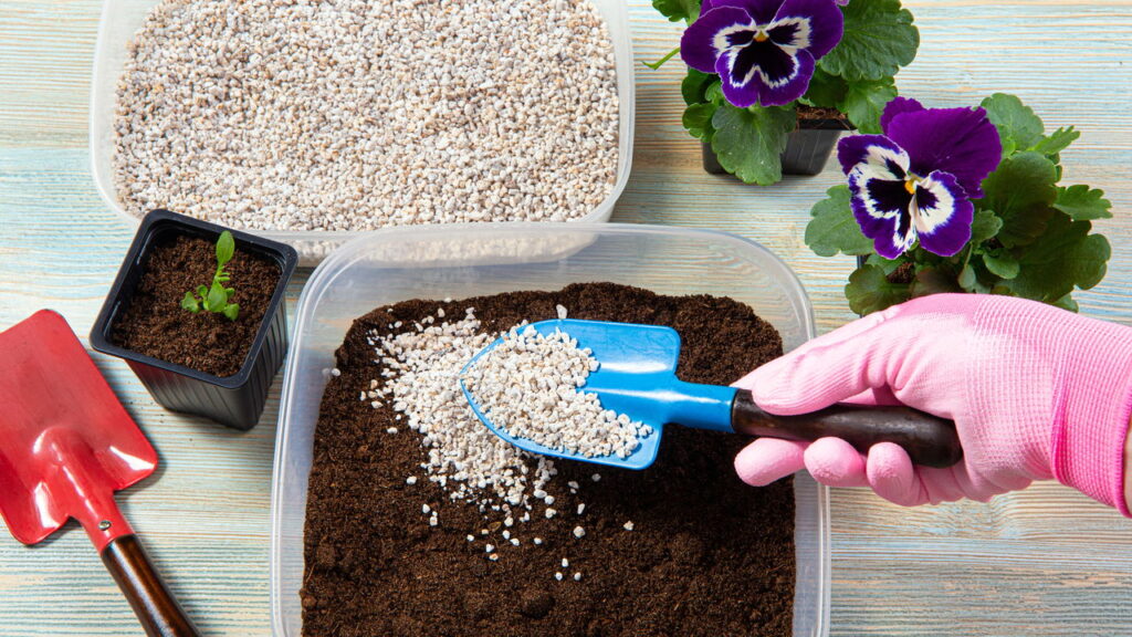 Mineral leve e barato pode transformar seu jardim em poucas semanas