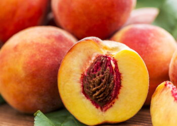 Fruta doce e macia, agora queridinha das casas brasileiras, pela rapidez no cultivo!