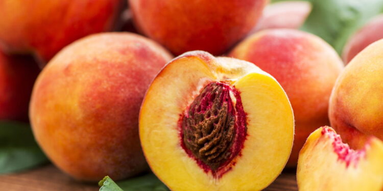 Fruta doce e macia, agora queridinha das casas brasileiras, pela rapidez no cultivo!