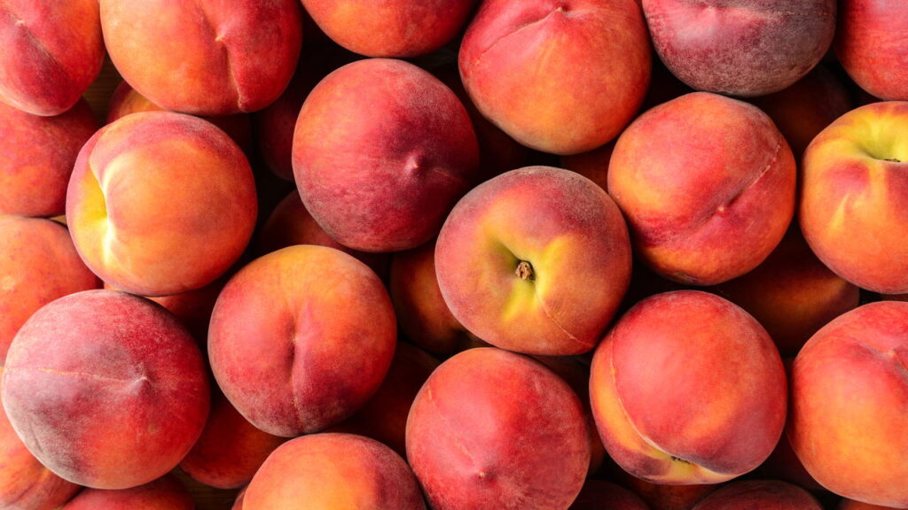 Fruta doce e macia, agora queridinha das casas brasileiras, pela rapidez no cultivo!