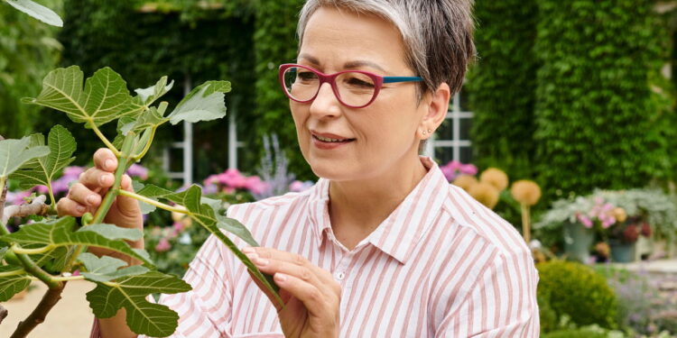 As 4 plantas resistentes para quem começa a cultivar